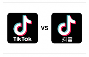 Logo for TikTok on the left with the Douyin logo on the right.