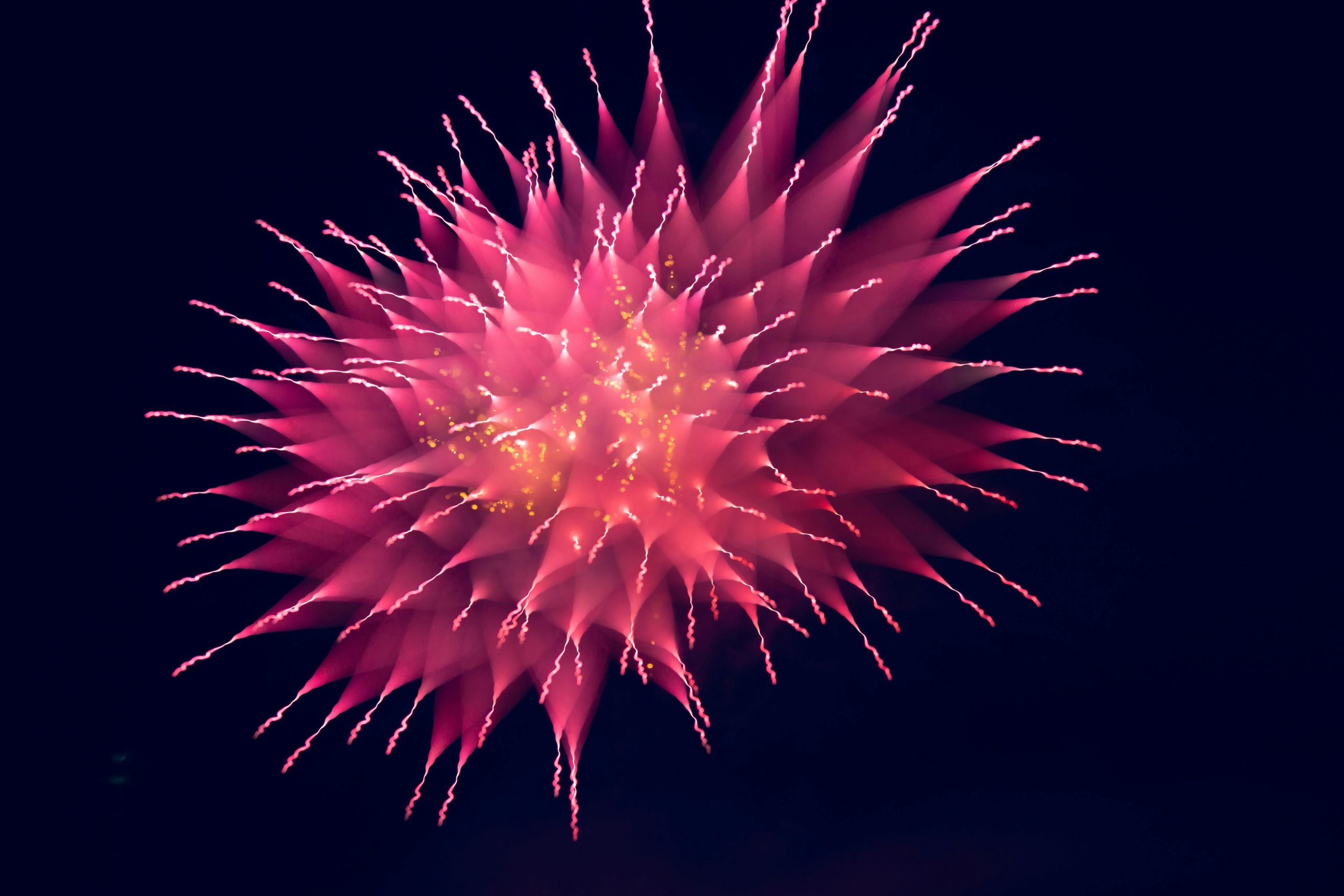 Pink fireworks explosion in a black night sky. The picture was taken on a low exposure.